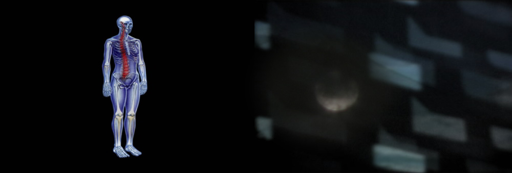 s8p antennas, transmission (1998-2005)