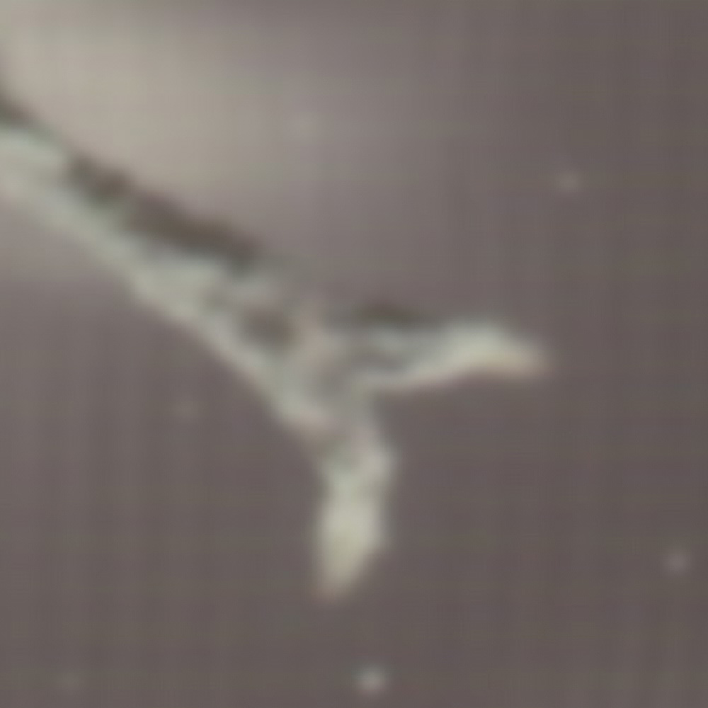 selfsimilarity (2001)