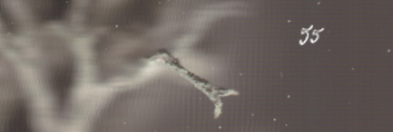 selfsimilarity (2001)