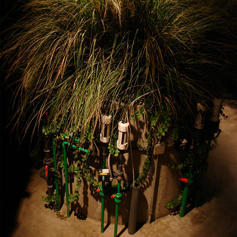 these machines have the ability to self-organize (2009)