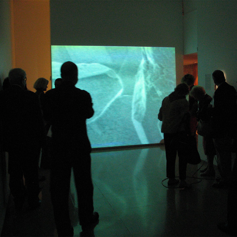 in/fluencing (2005)