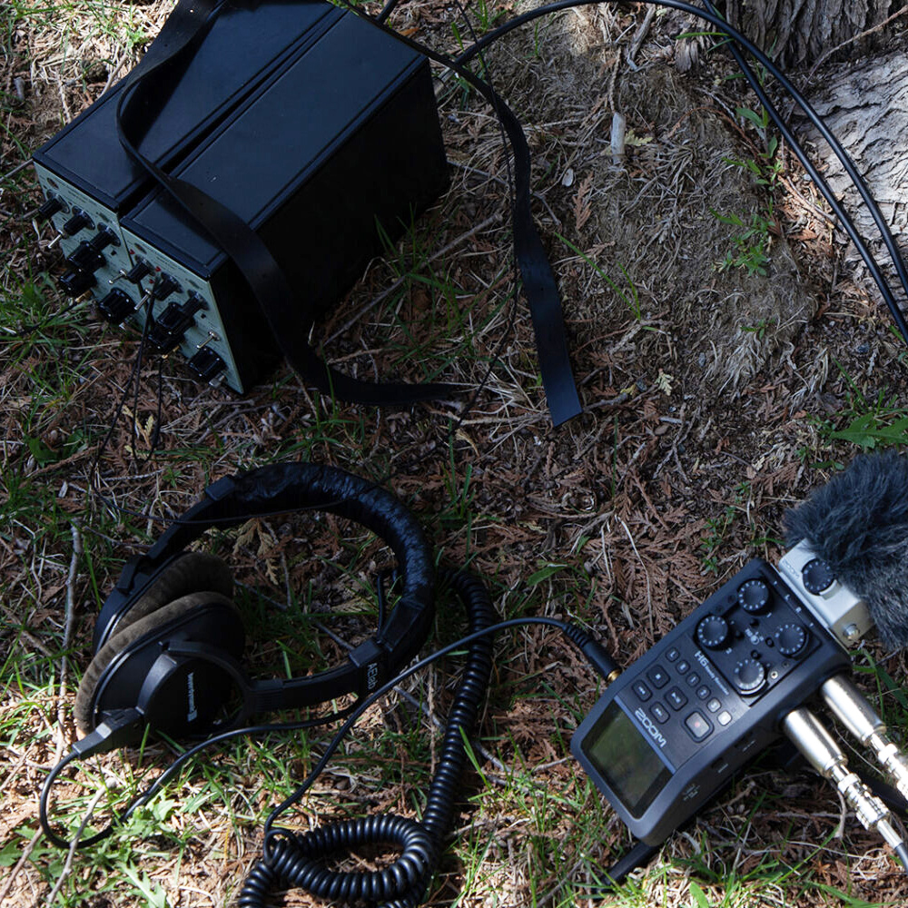 Milieux liminaux et matérialités de l’écoute active (2026)